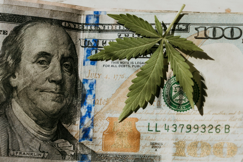 Cannabis Business Regulations in New Jersey