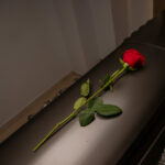 New Jersey Wrongful Death Statute of Limitations Explained